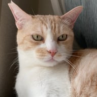 S・H／R・O／N・K