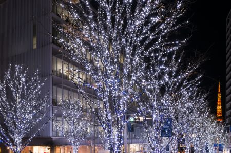 建築と写真の著作権！イルミネーションの撮影に要注意