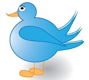国内マスメディアTwitter成功調査
